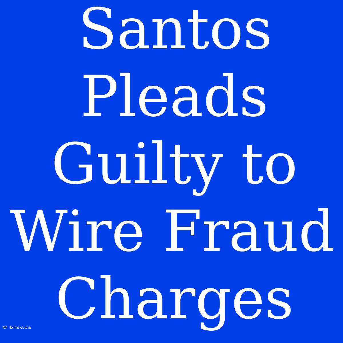 Santos Pleads Guilty To Wire Fraud Charges