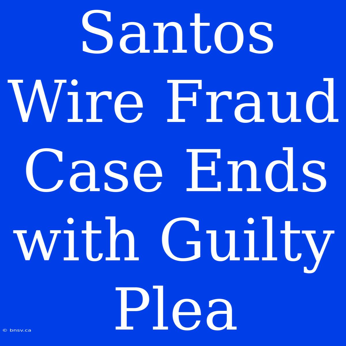 Santos Wire Fraud Case Ends With Guilty Plea