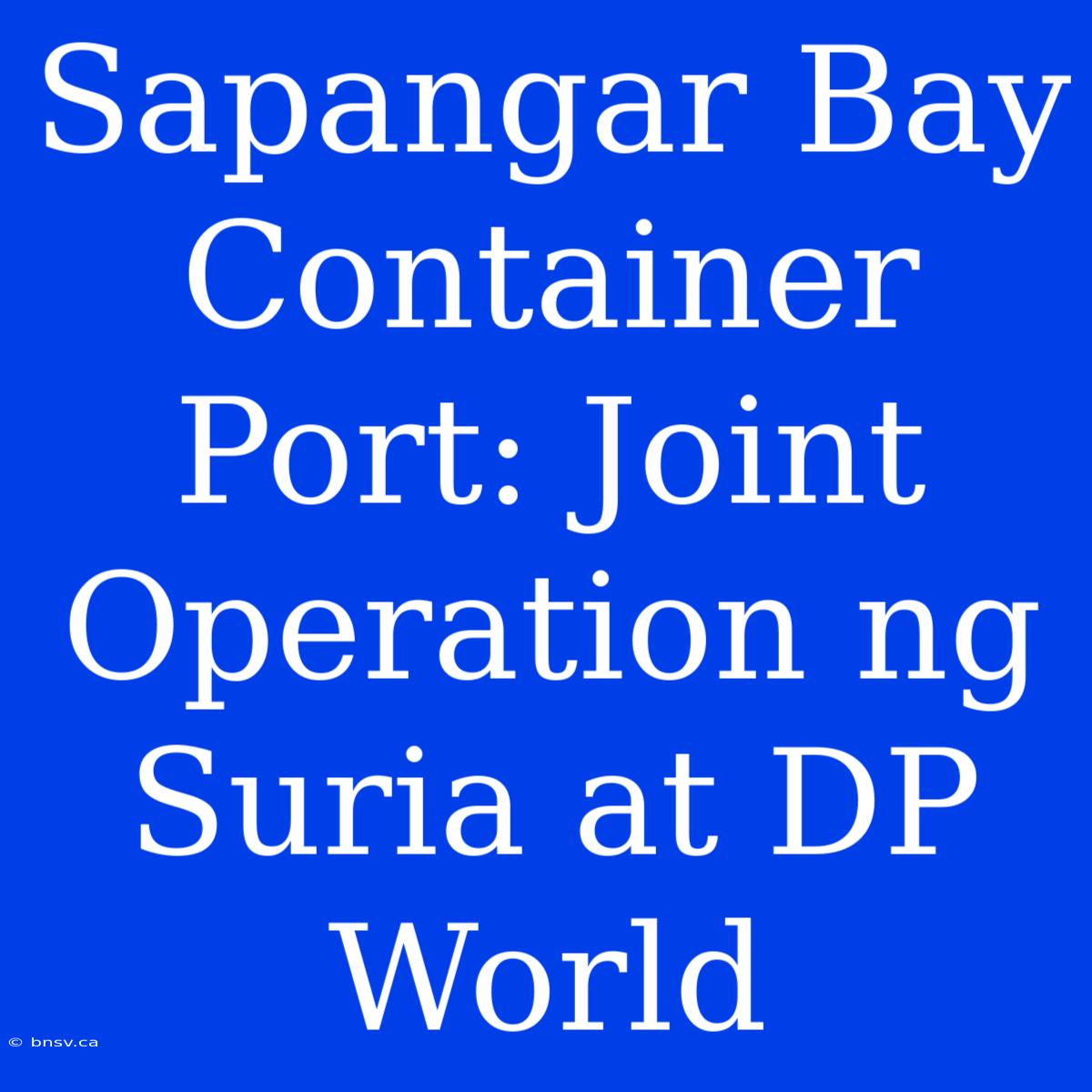 Sapangar Bay Container Port: Joint Operation Ng Suria At DP World