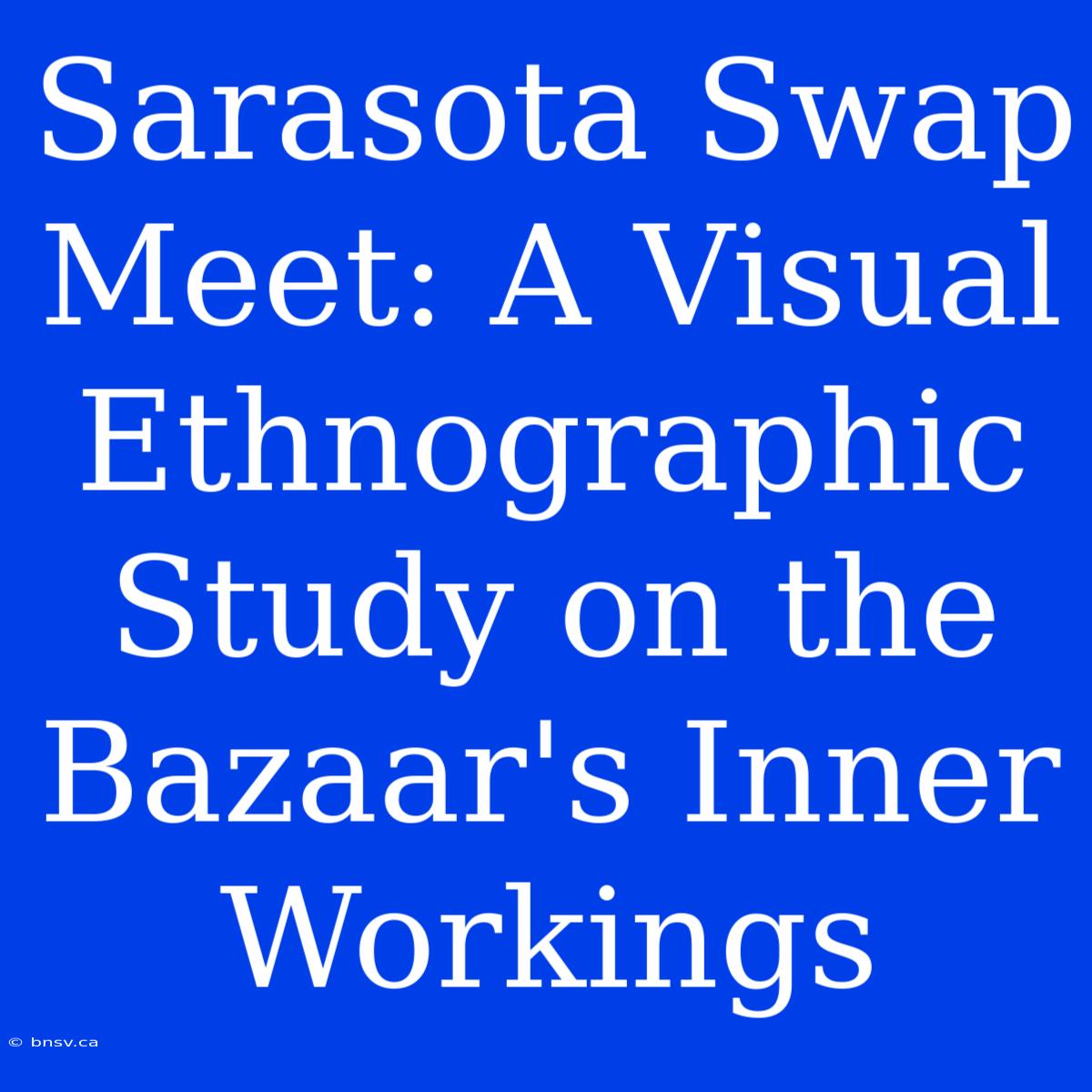 Sarasota Swap Meet: A Visual Ethnographic Study On The Bazaar's Inner Workings