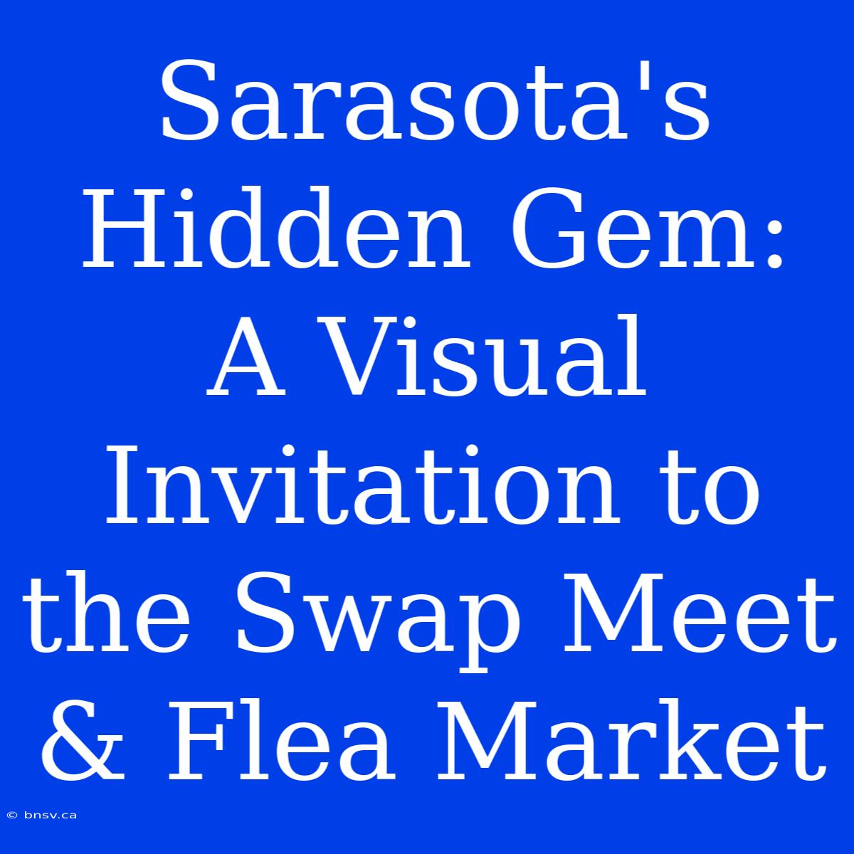 Sarasota's Hidden Gem: A Visual Invitation To The Swap Meet & Flea Market