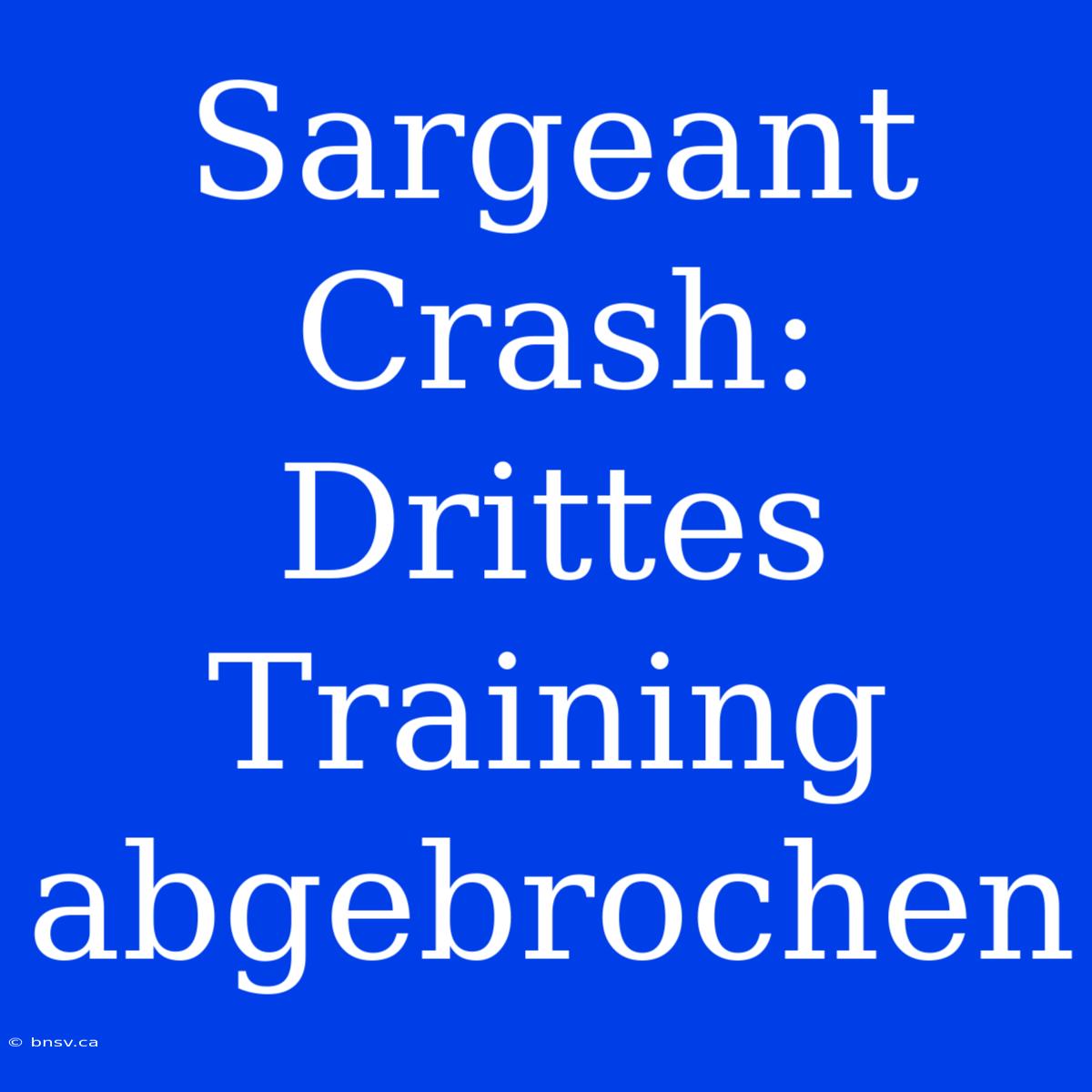 Sargeant Crash: Drittes Training Abgebrochen