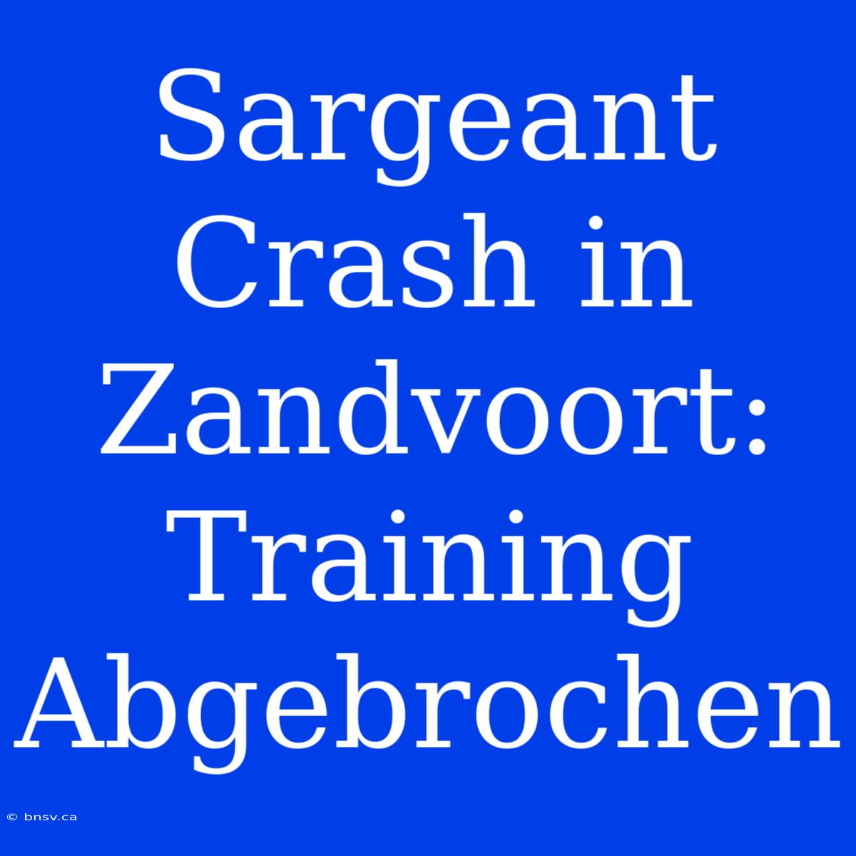 Sargeant Crash In Zandvoort: Training Abgebrochen