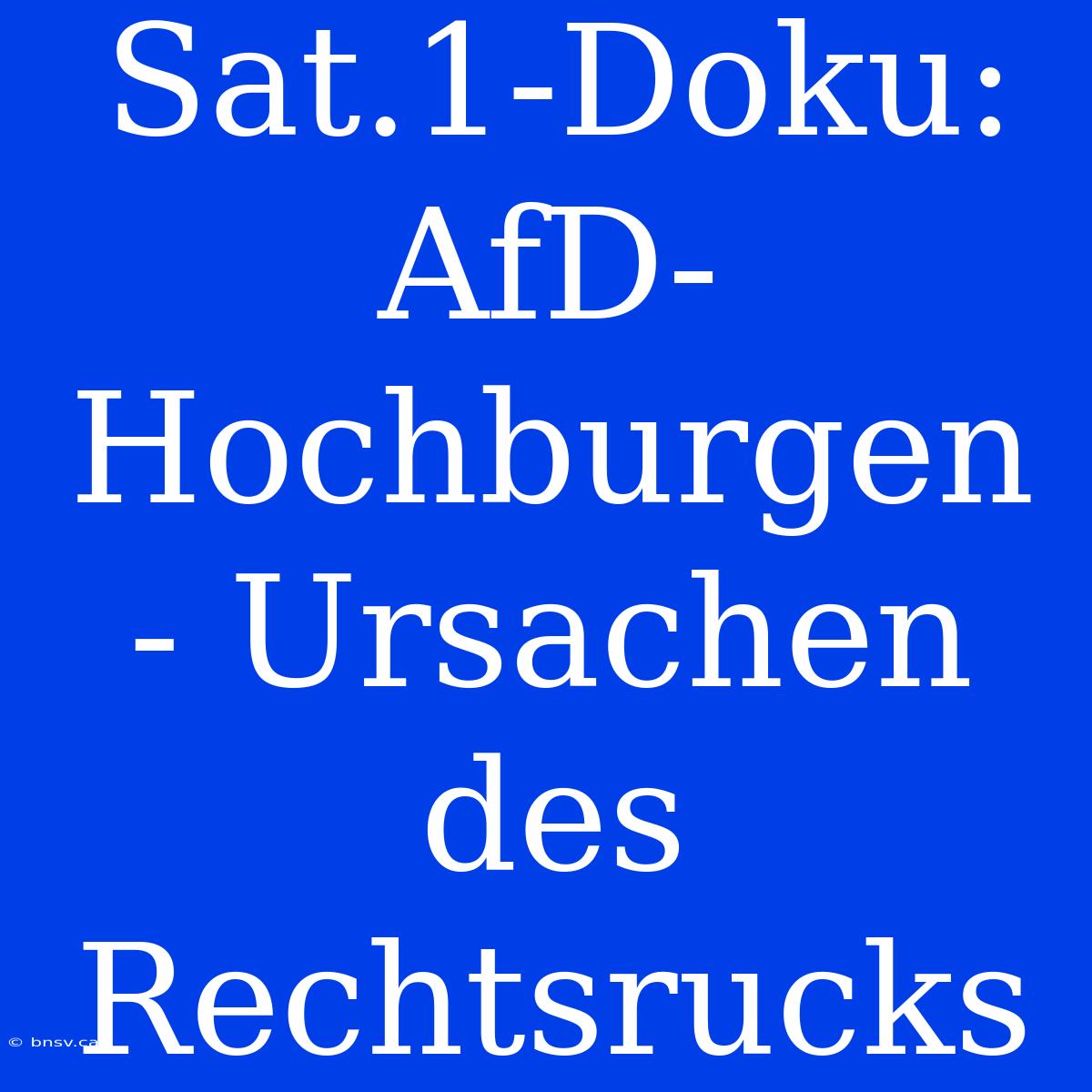 Sat.1-Doku: AfD-Hochburgen - Ursachen Des Rechtsrucks