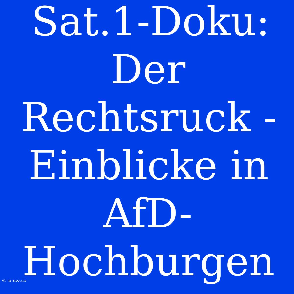 Sat.1-Doku: Der Rechtsruck - Einblicke In AfD-Hochburgen