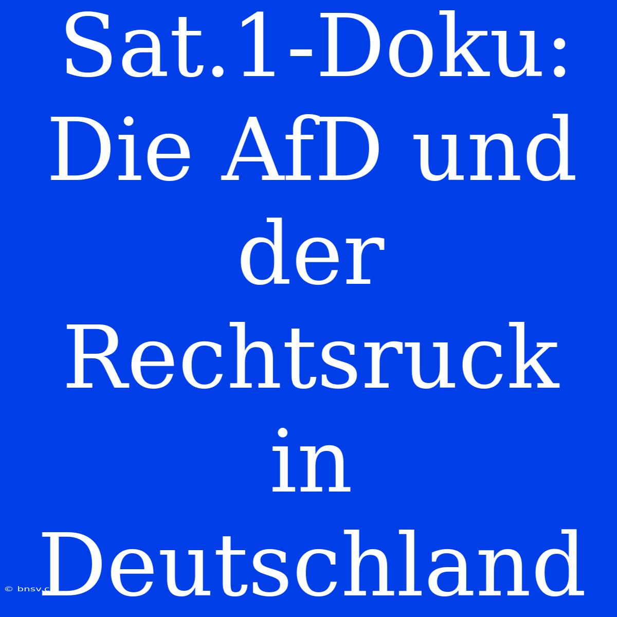 Sat.1-Doku: Die AfD Und Der Rechtsruck In Deutschland