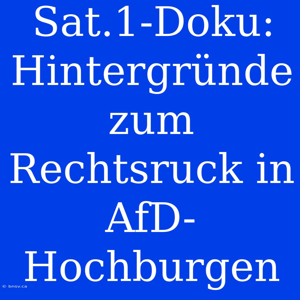 Sat.1-Doku: Hintergründe Zum Rechtsruck In AfD-Hochburgen