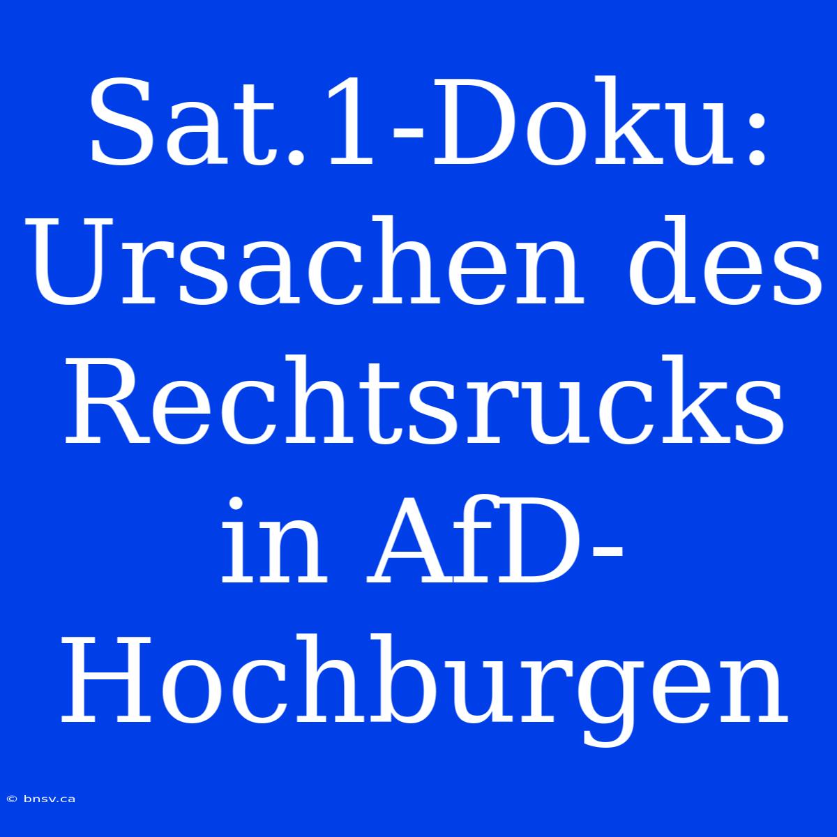 Sat.1-Doku: Ursachen Des Rechtsrucks In AfD-Hochburgen