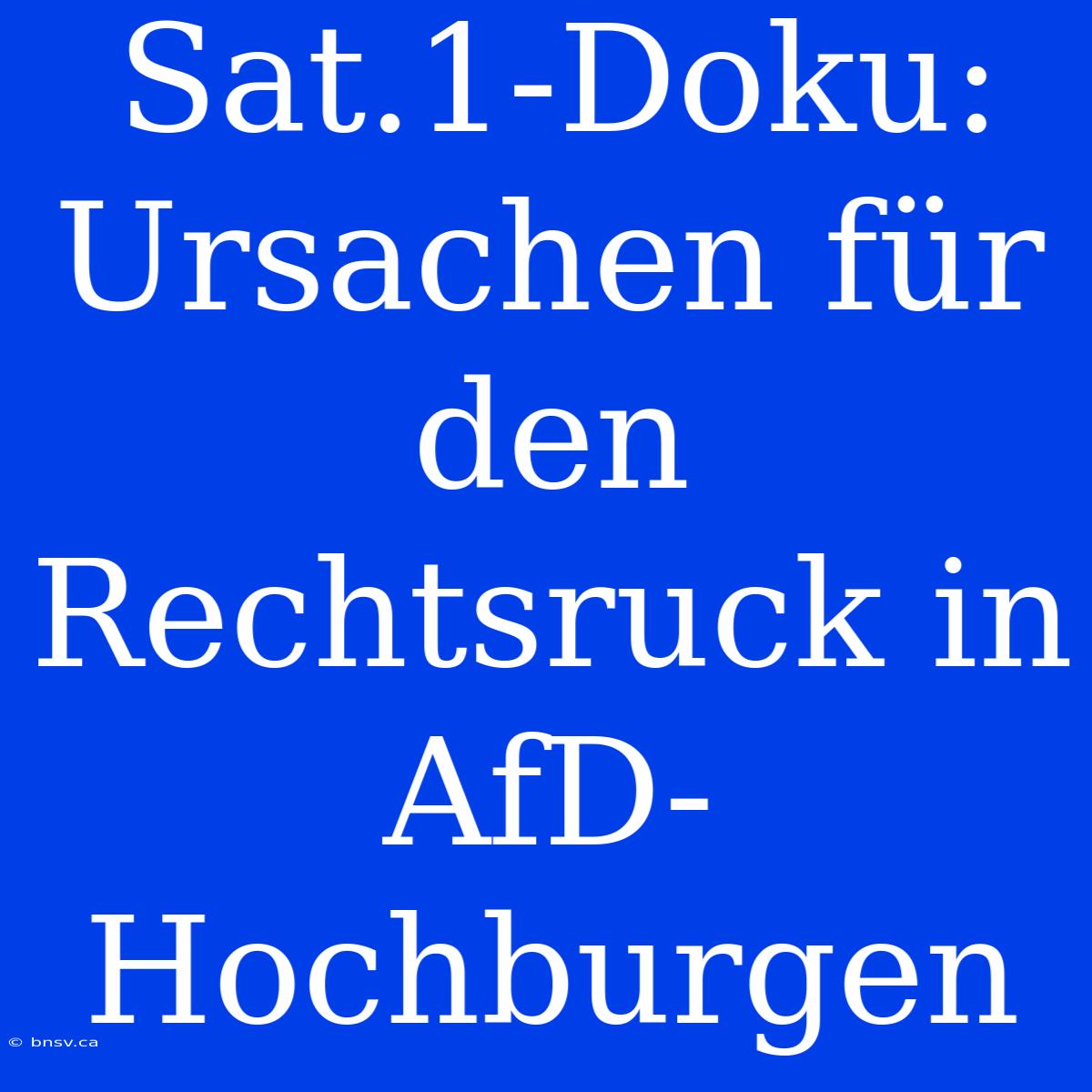 Sat.1-Doku: Ursachen Für Den Rechtsruck In AfD-Hochburgen