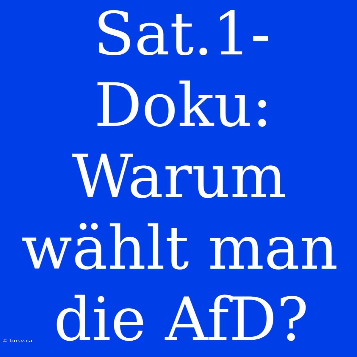 Sat.1-Doku: Warum Wählt Man Die AfD?