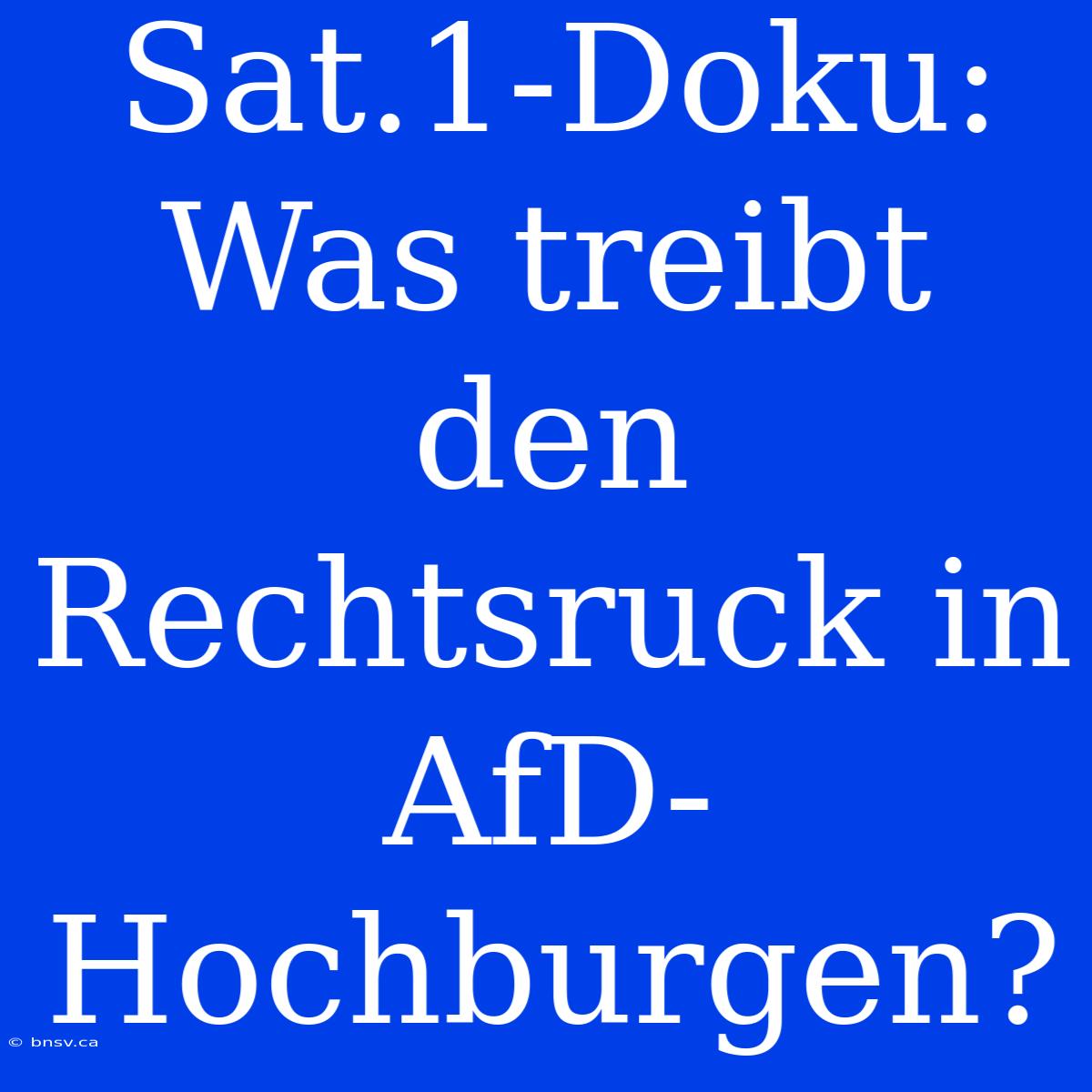 Sat.1-Doku: Was Treibt Den Rechtsruck In AfD-Hochburgen?