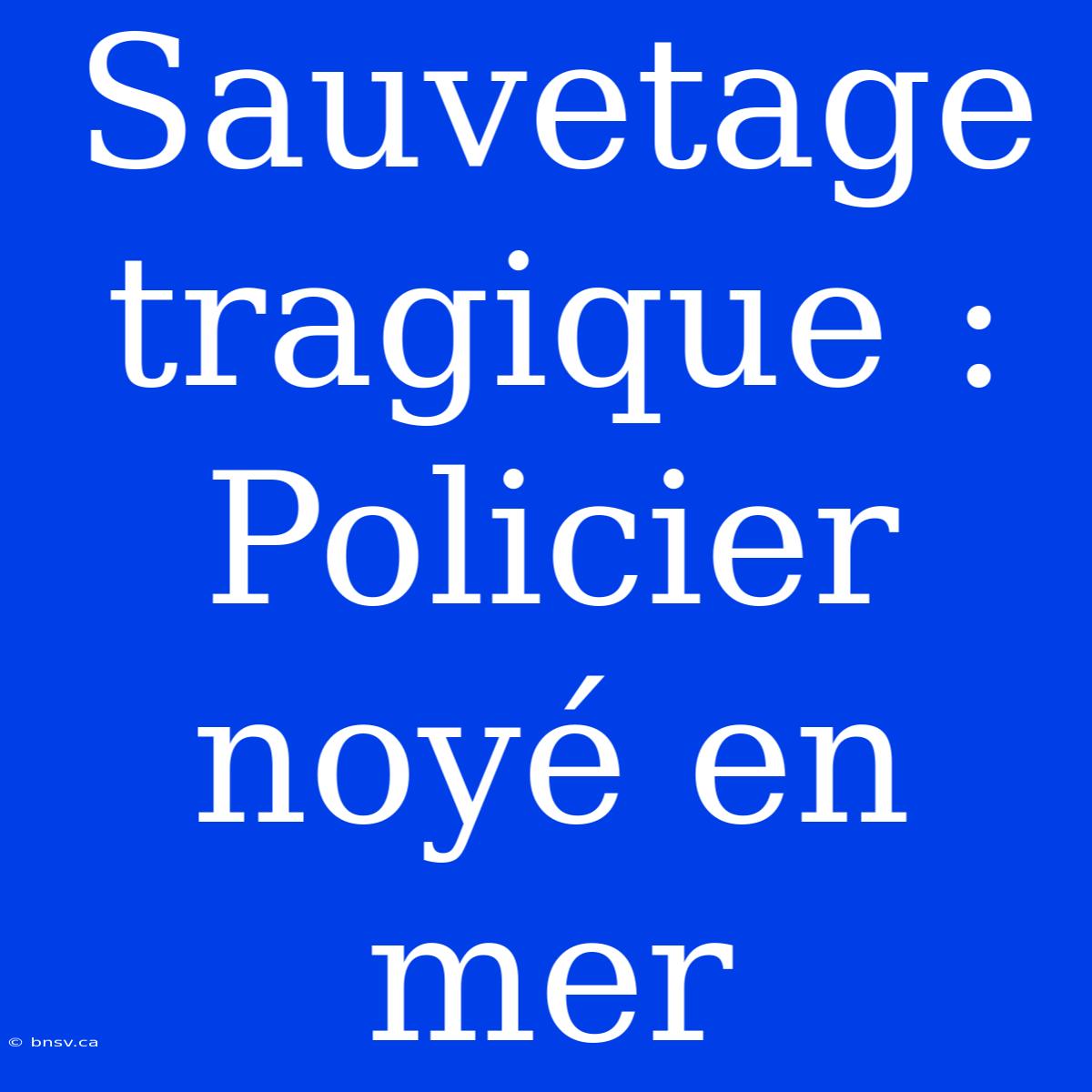 Sauvetage Tragique : Policier Noyé En Mer