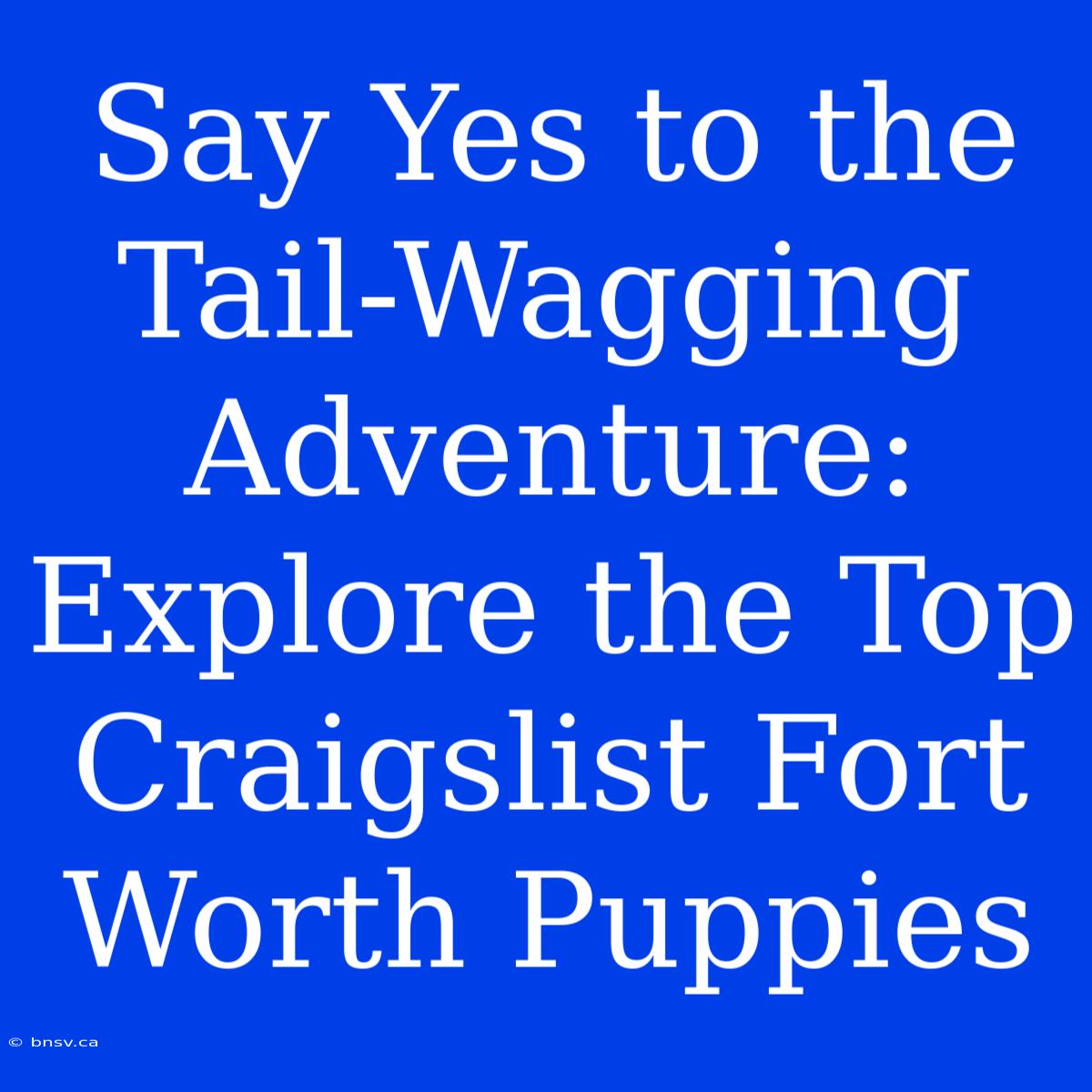 Say Yes To The Tail-Wagging Adventure: Explore The Top Craigslist Fort Worth Puppies