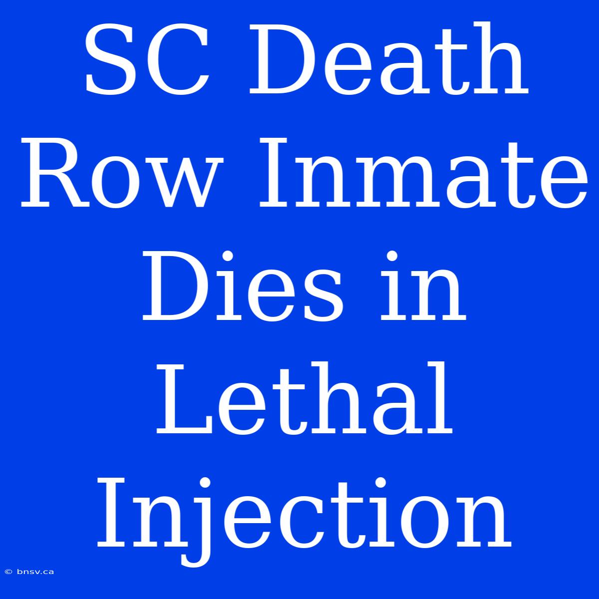 SC Death Row Inmate Dies In Lethal Injection