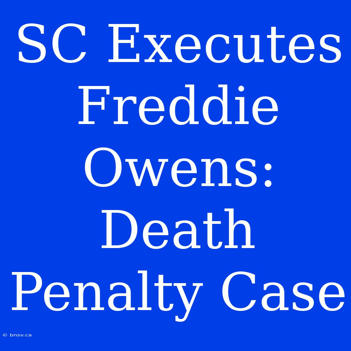 SC Executes Freddie Owens: Death Penalty Case