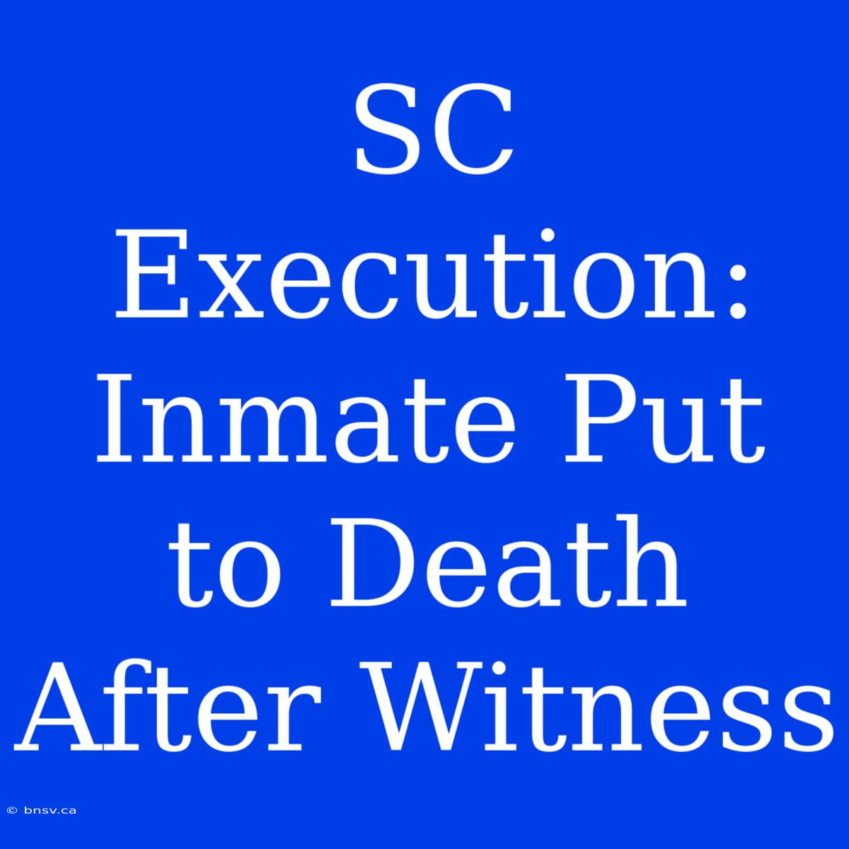 SC Execution: Inmate Put To Death After Witness