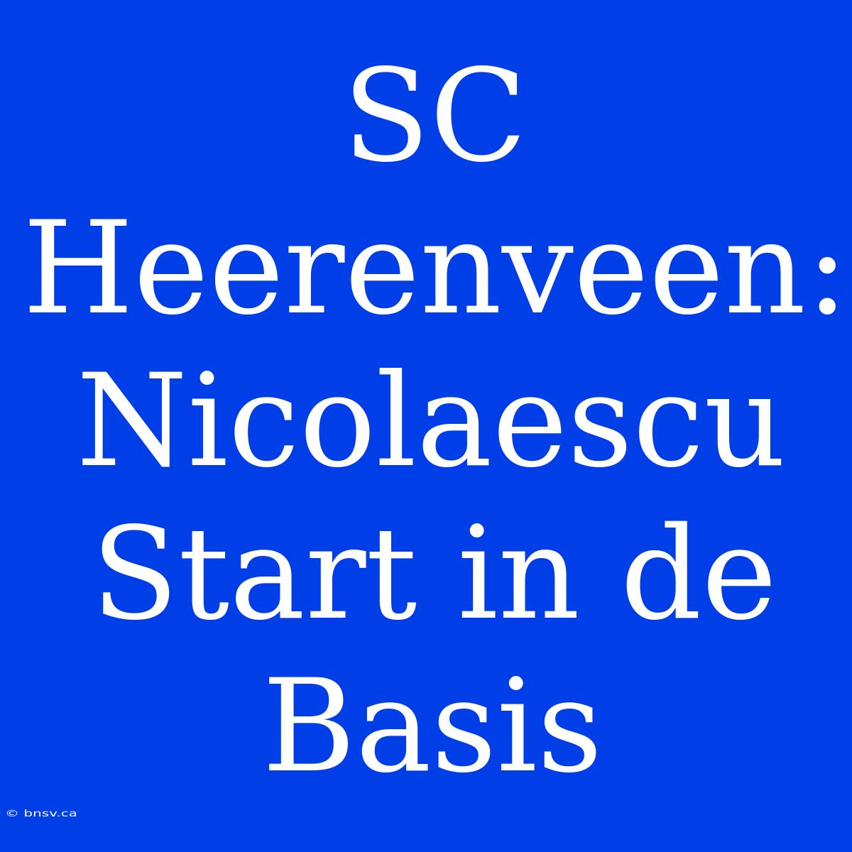 SC Heerenveen: Nicolaescu Start In De Basis