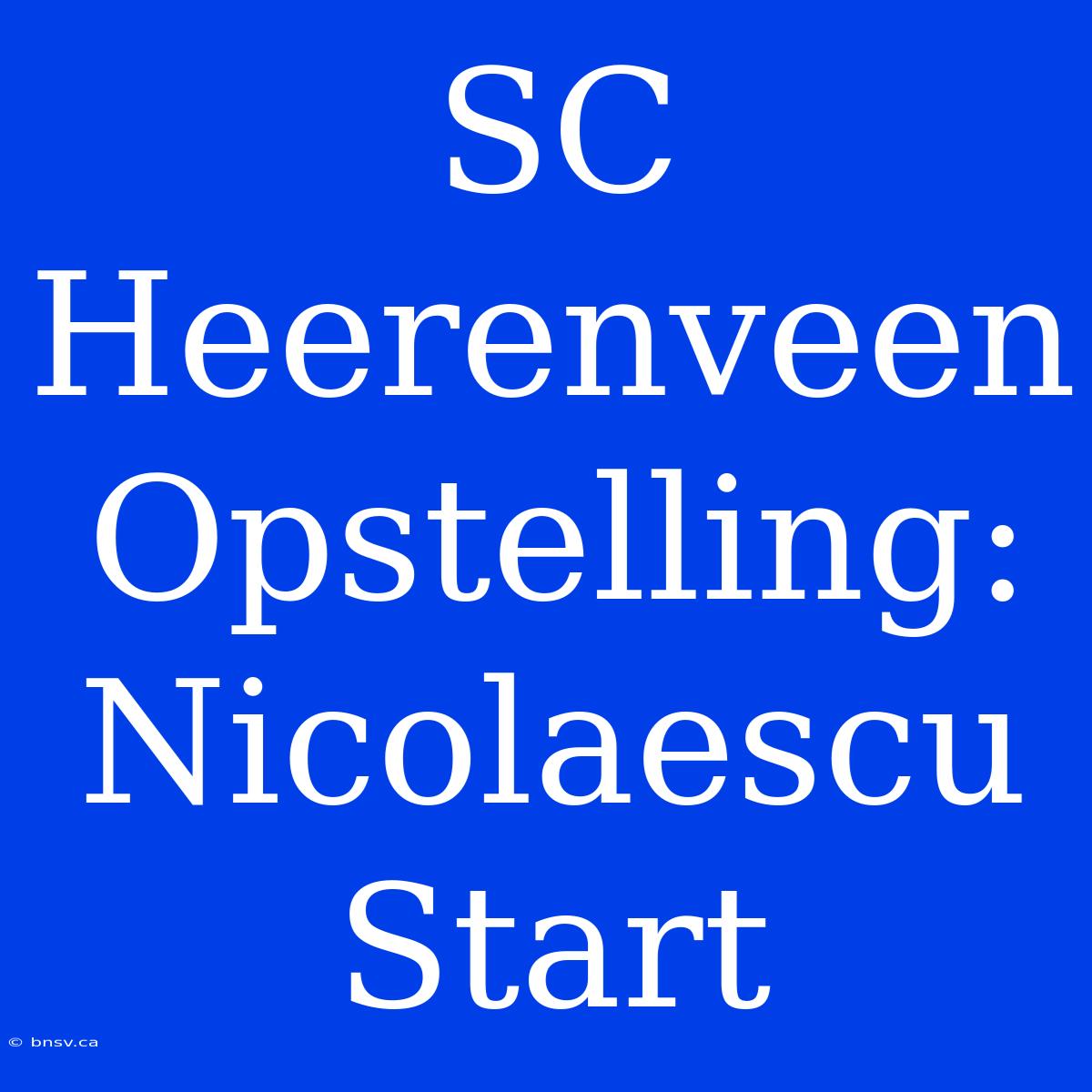 SC Heerenveen Opstelling: Nicolaescu Start