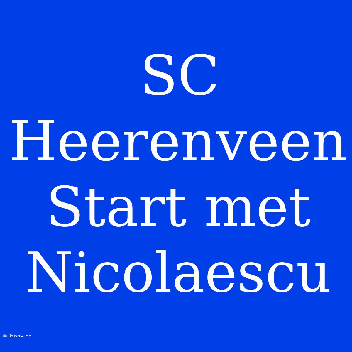 SC Heerenveen Start Met Nicolaescu