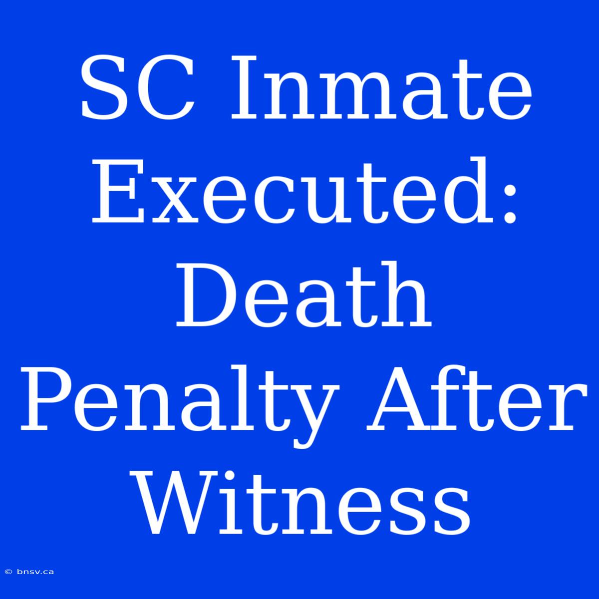 SC Inmate Executed: Death Penalty After Witness