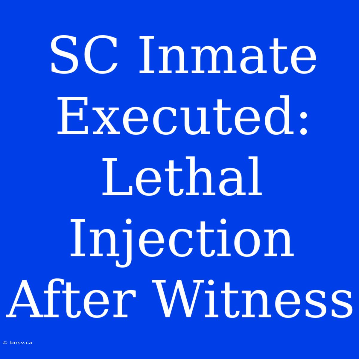 SC Inmate Executed: Lethal Injection After Witness