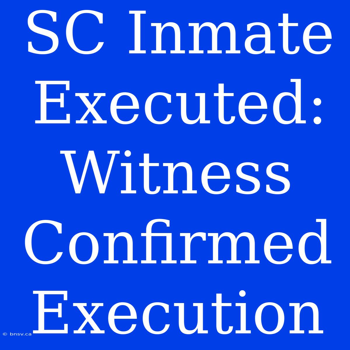 SC Inmate Executed: Witness Confirmed Execution