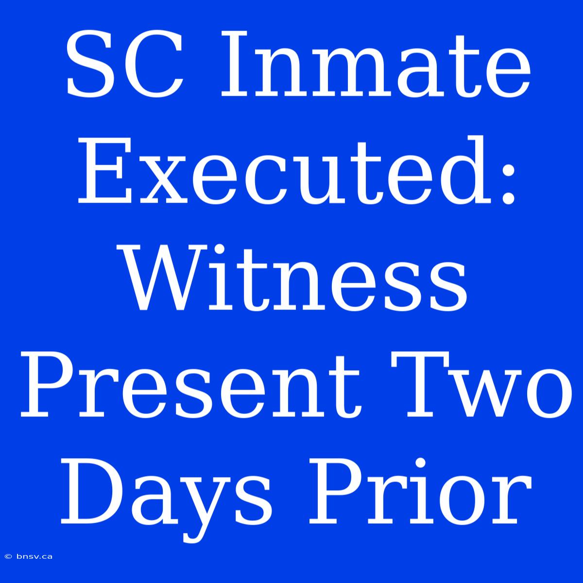 SC Inmate Executed: Witness Present Two Days Prior