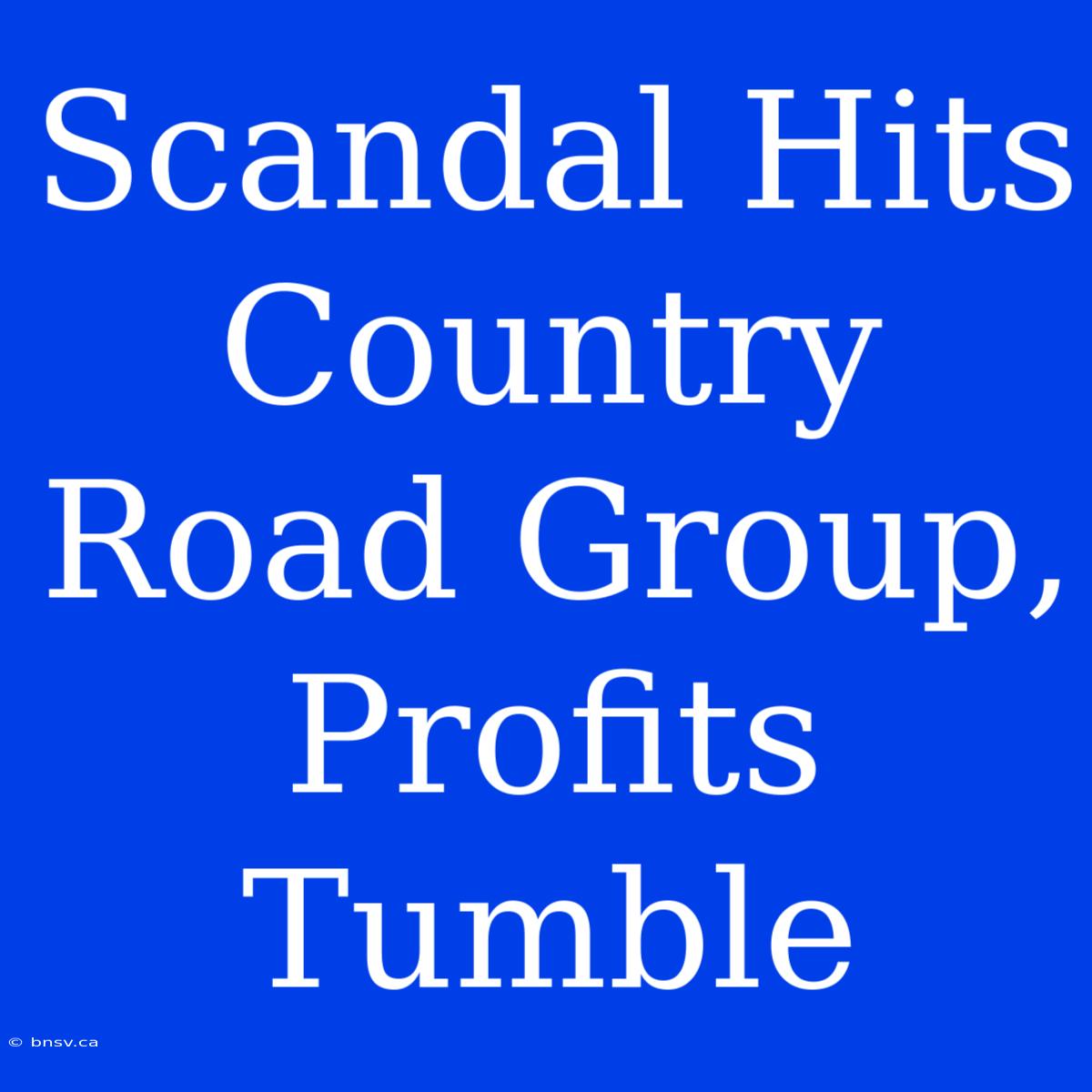 Scandal Hits Country Road Group, Profits Tumble