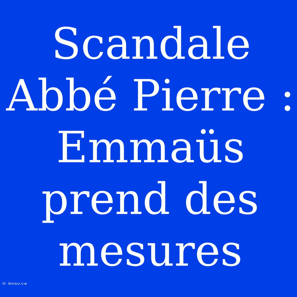 Scandale Abbé Pierre : Emmaüs Prend Des Mesures