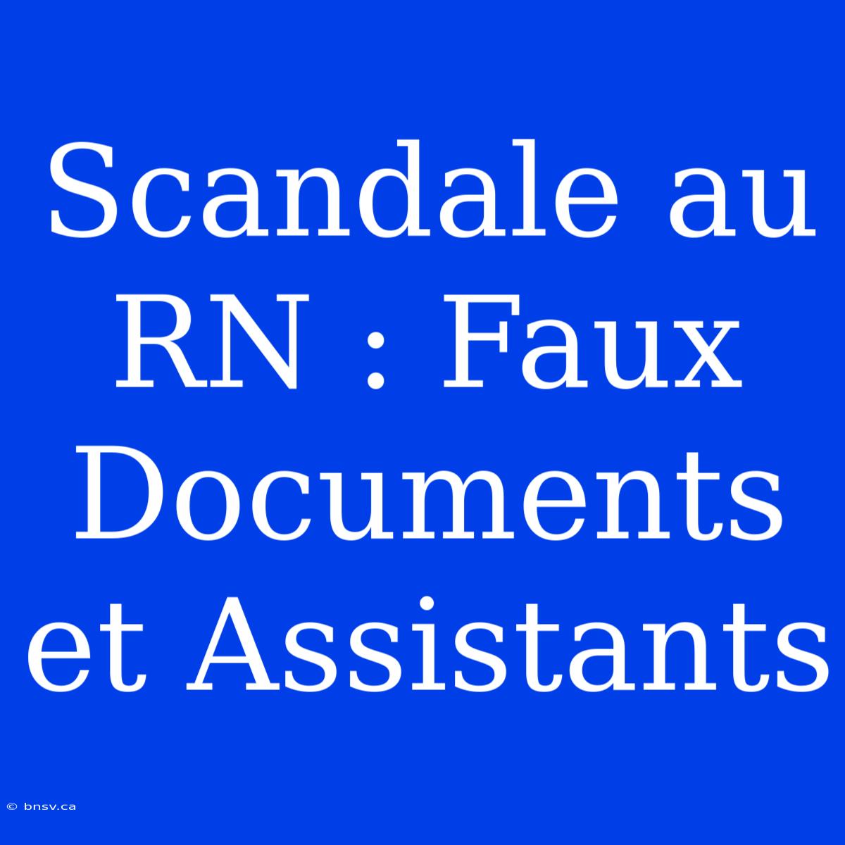 Scandale Au RN : Faux Documents Et Assistants