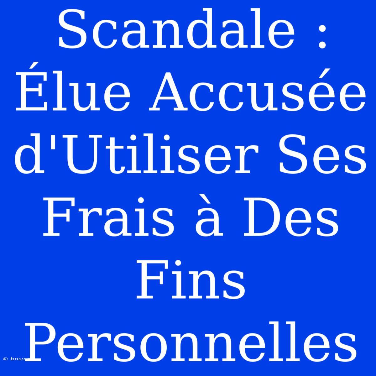 Scandale : Élue Accusée D'Utiliser Ses Frais À Des Fins Personnelles