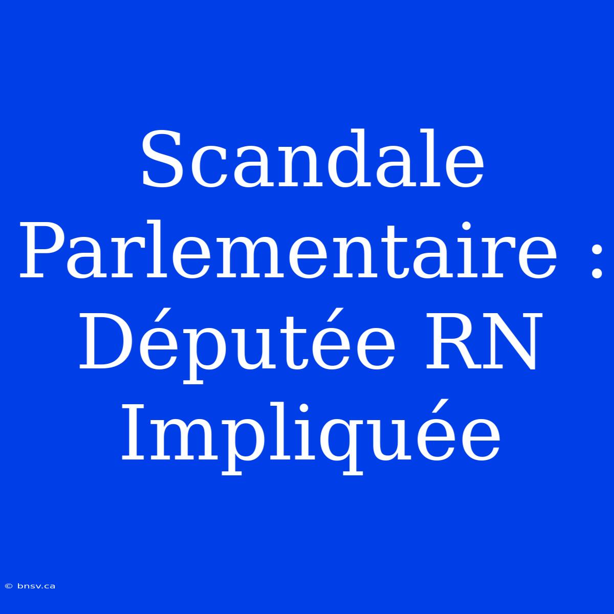 Scandale Parlementaire : Députée RN Impliquée