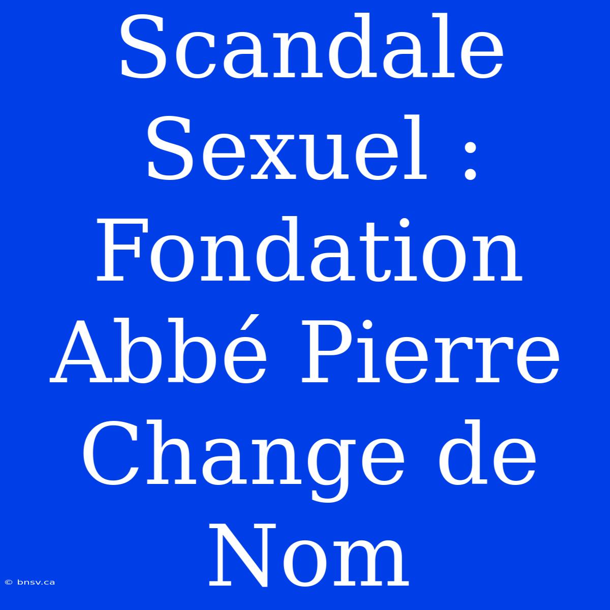 Scandale Sexuel : Fondation Abbé Pierre Change De Nom