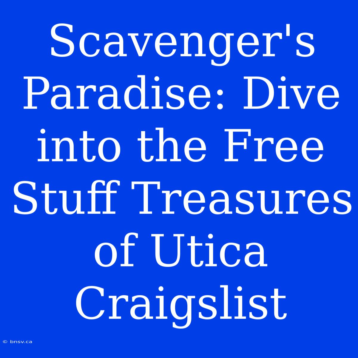 Scavenger's Paradise: Dive Into The Free Stuff Treasures Of Utica Craigslist