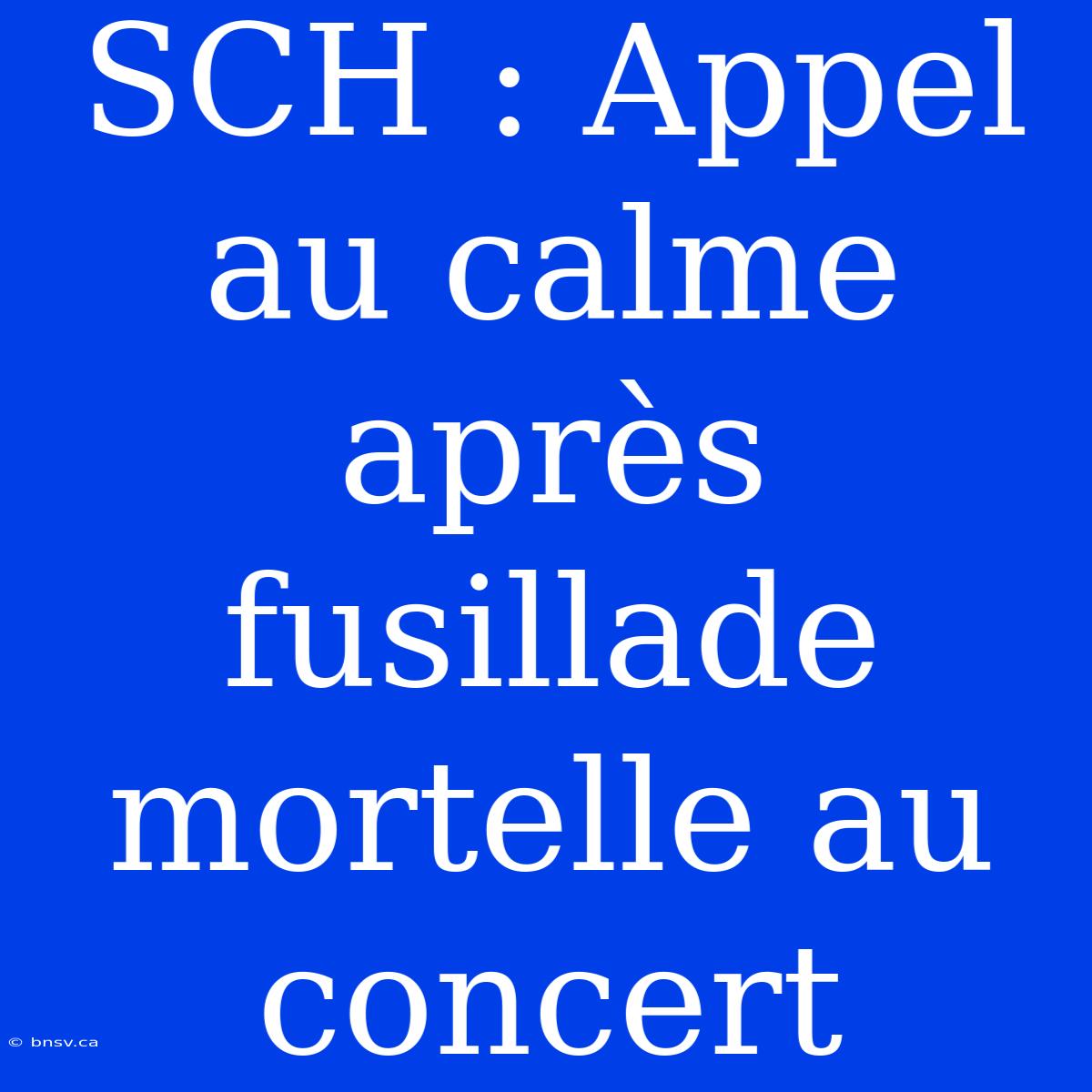 SCH : Appel Au Calme Après Fusillade Mortelle Au Concert