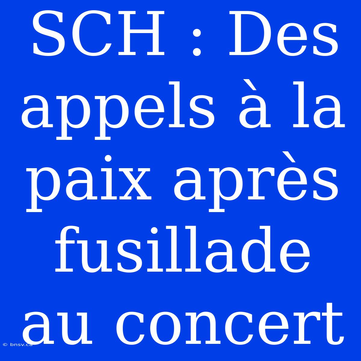 SCH : Des Appels À La Paix Après Fusillade Au Concert