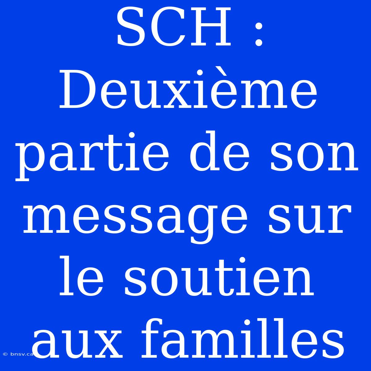 SCH : Deuxième Partie De Son Message Sur Le Soutien Aux Familles