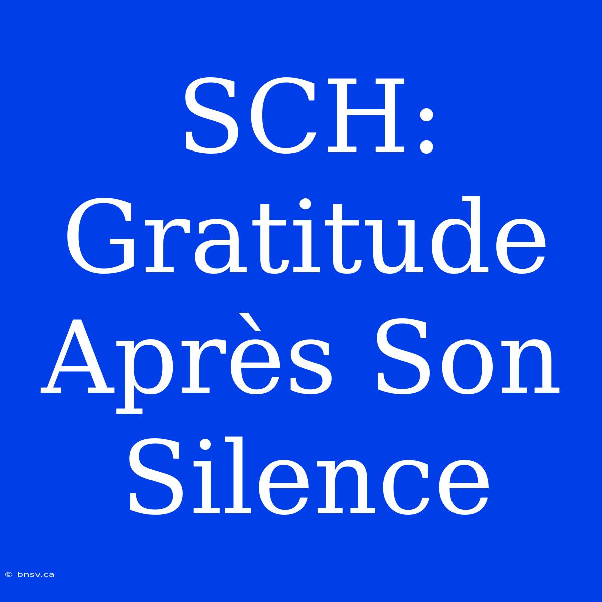 SCH: Gratitude Après Son Silence