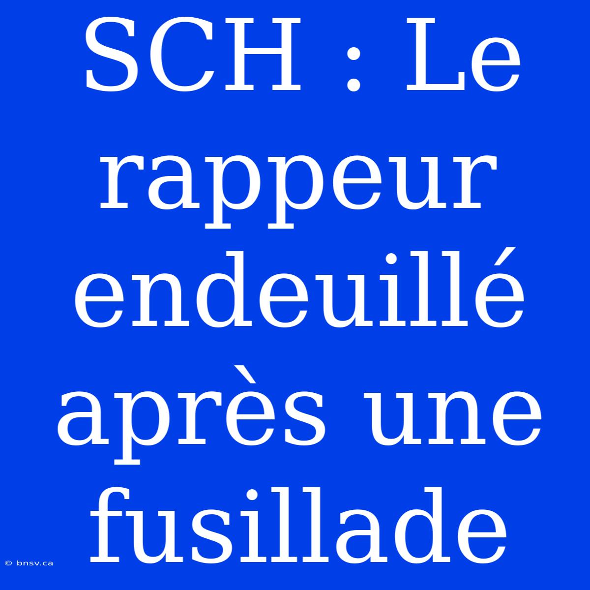 SCH : Le Rappeur Endeuillé Après Une Fusillade