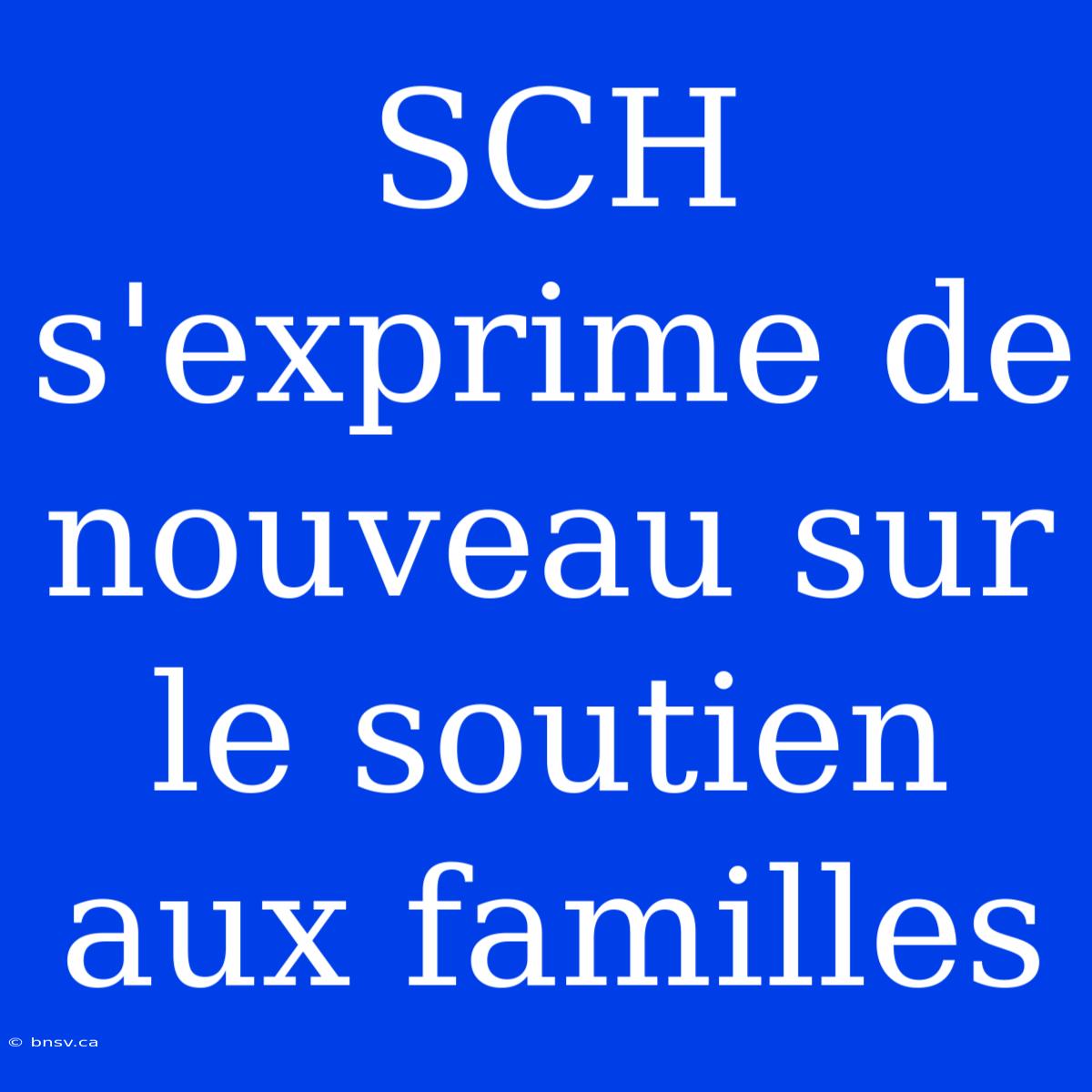 SCH S'exprime De Nouveau Sur Le Soutien Aux Familles