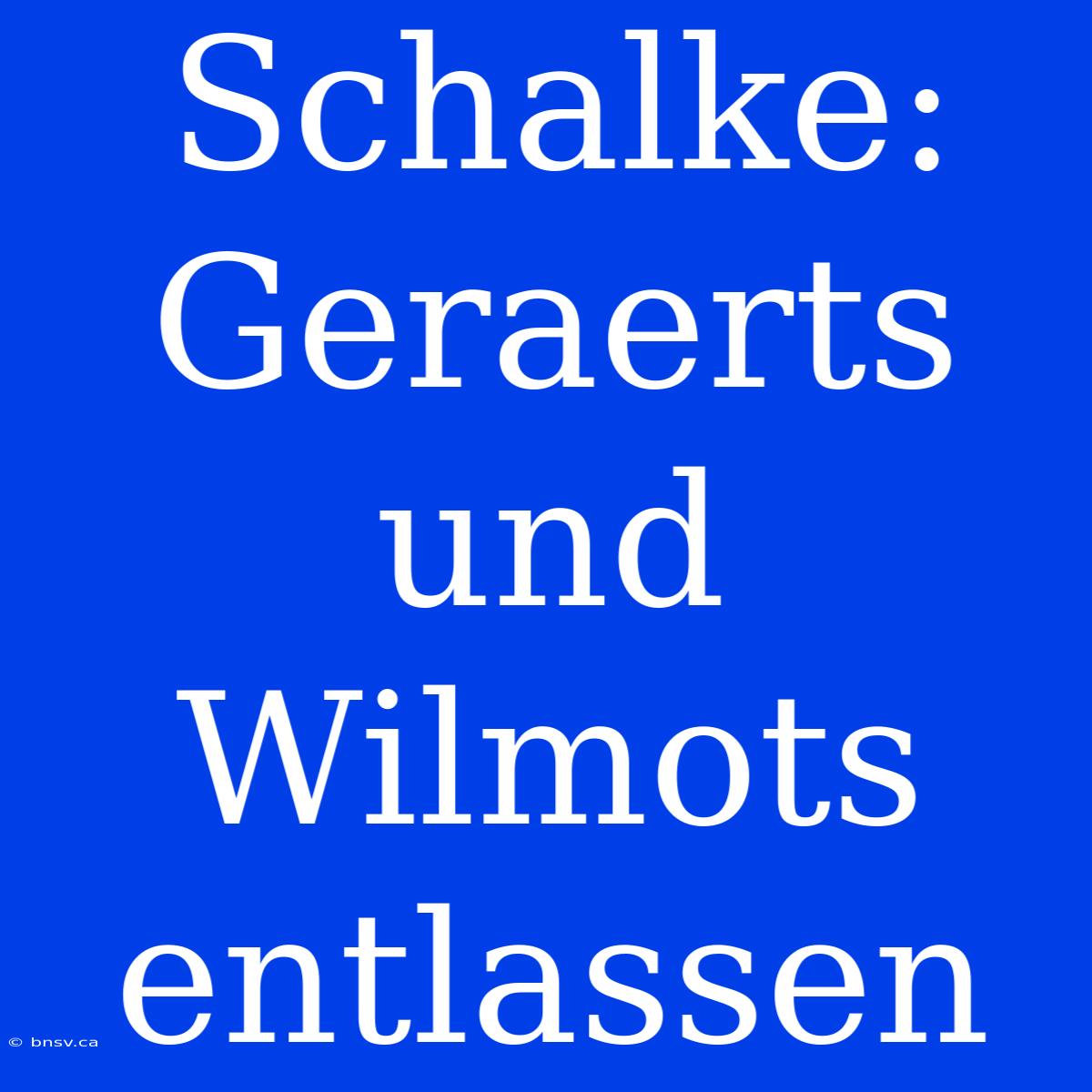 Schalke: Geraerts Und Wilmots Entlassen