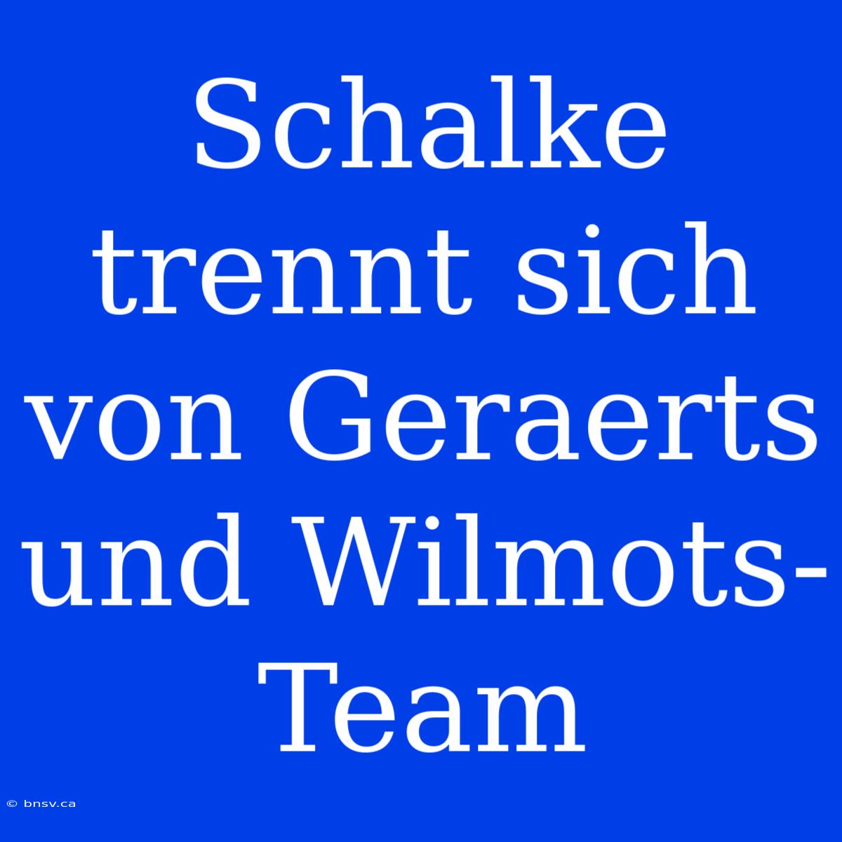 Schalke Trennt Sich Von Geraerts Und Wilmots-Team