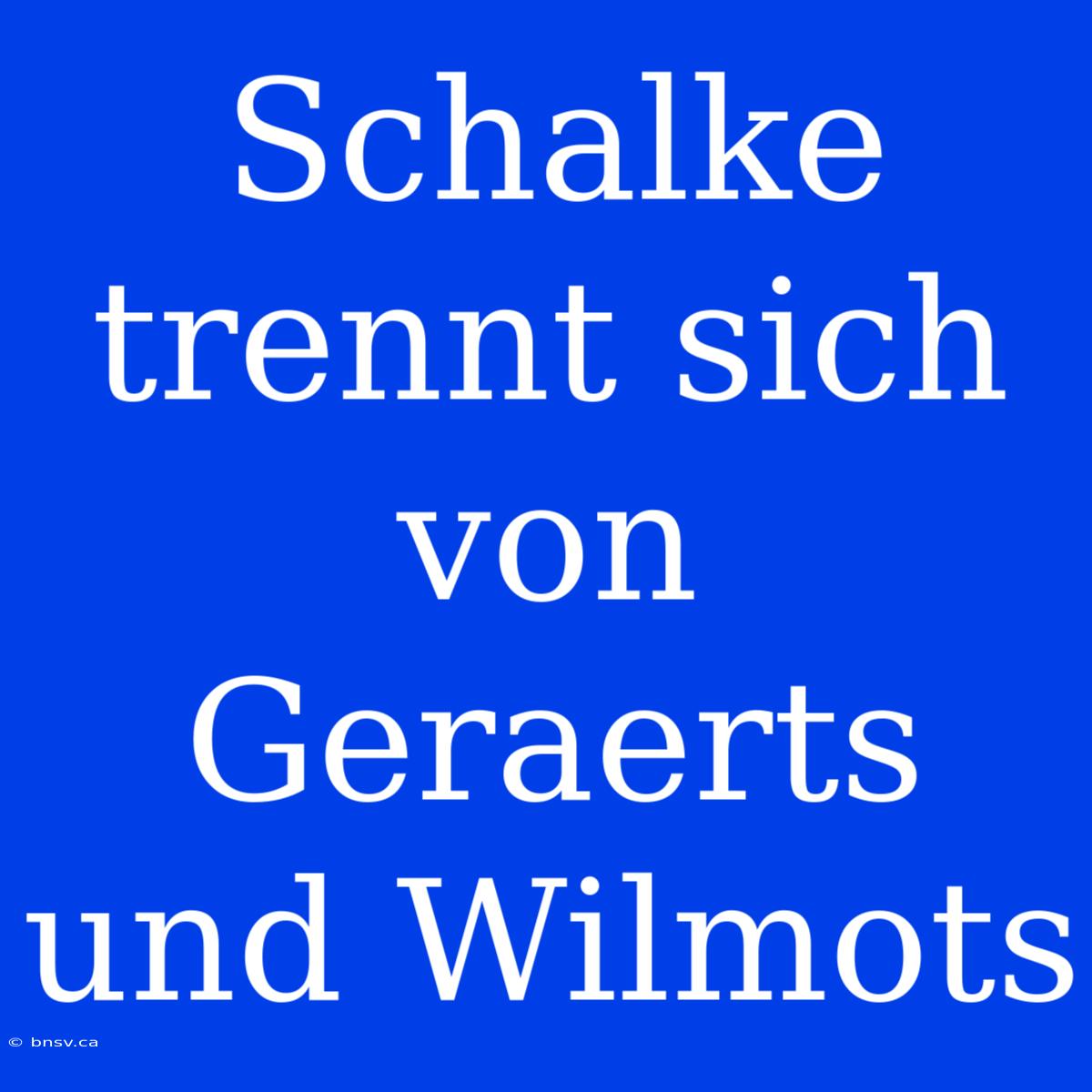 Schalke Trennt Sich Von Geraerts Und Wilmots