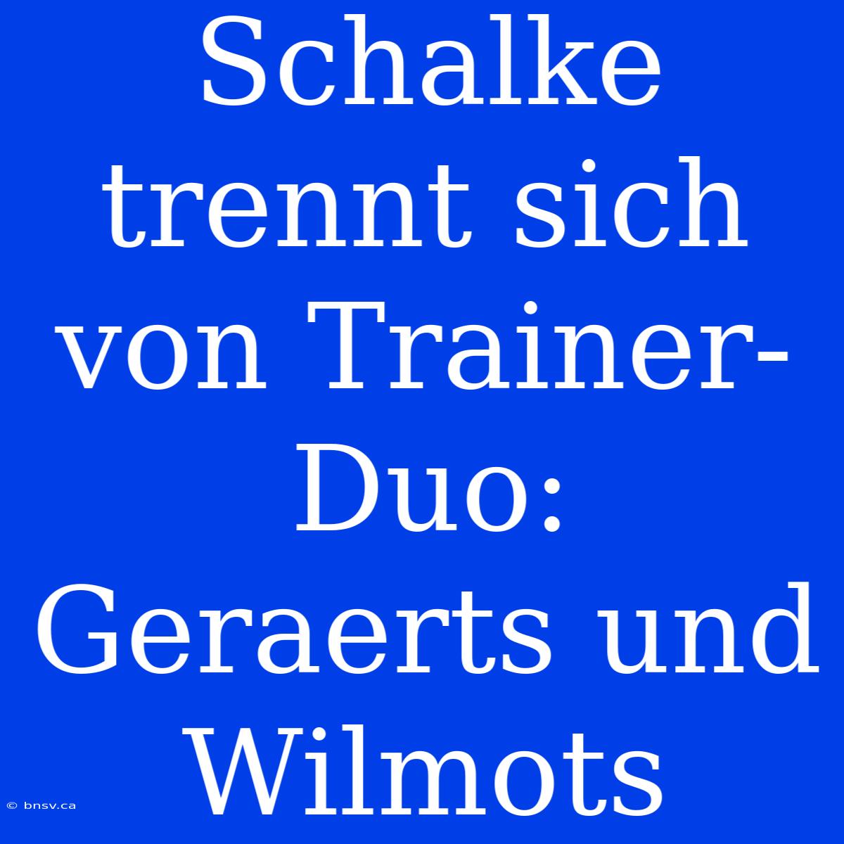 Schalke Trennt Sich Von Trainer-Duo: Geraerts Und Wilmots