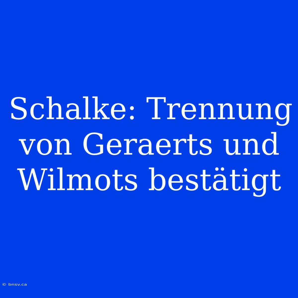 Schalke: Trennung Von Geraerts Und Wilmots Bestätigt