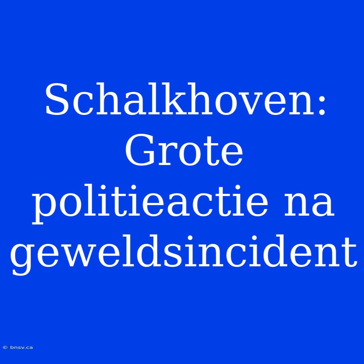 Schalkhoven: Grote Politieactie Na Geweldsincident