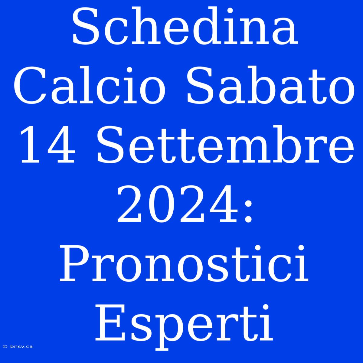 Schedina Calcio Sabato 14 Settembre 2024: Pronostici Esperti