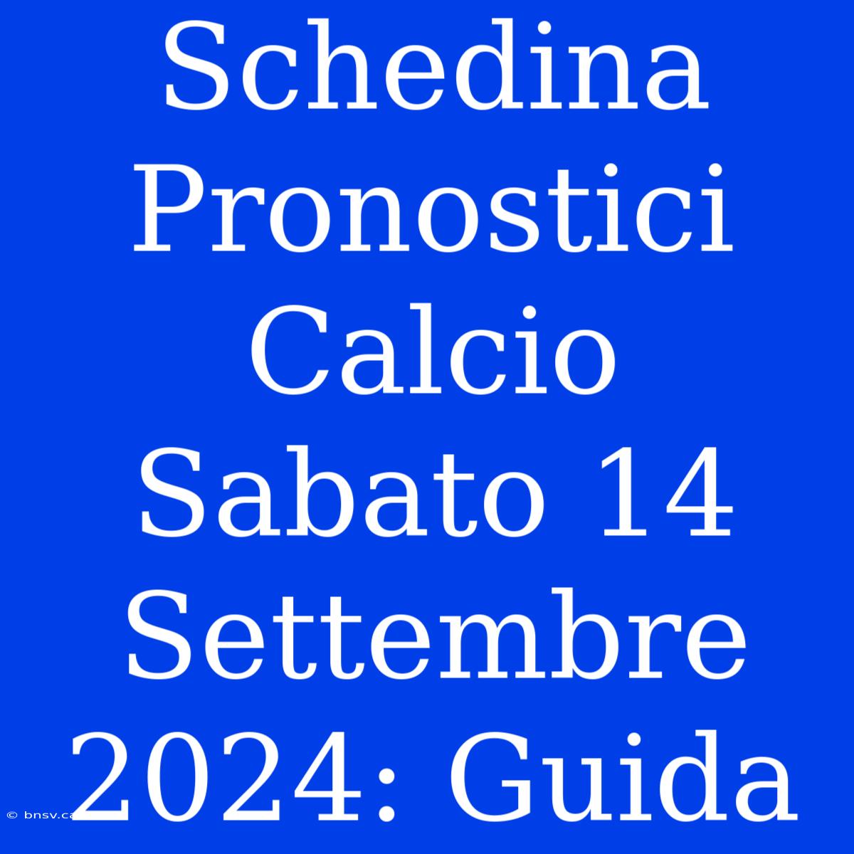 Schedina Pronostici Calcio Sabato 14 Settembre 2024: Guida