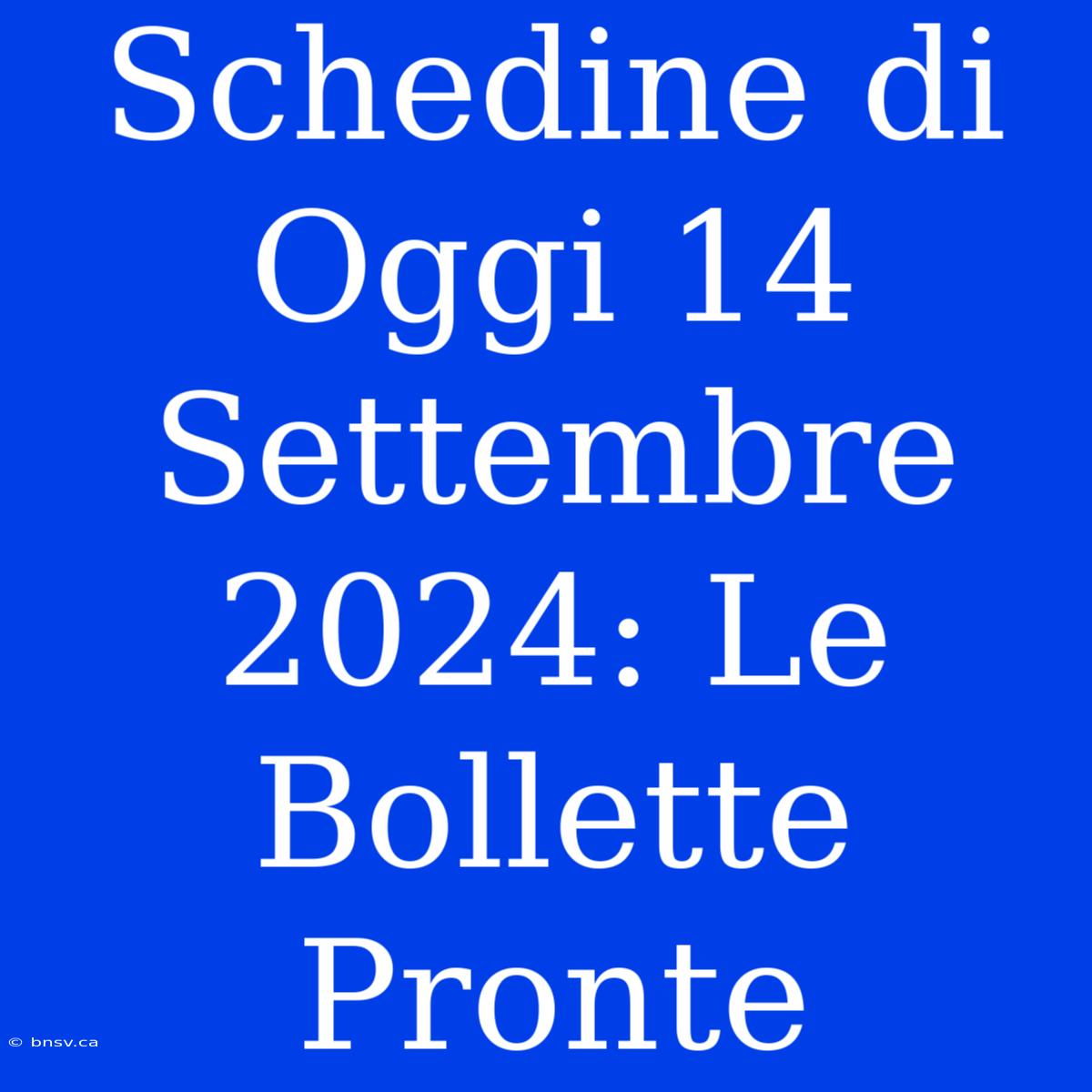 Schedine Di Oggi 14 Settembre 2024: Le Bollette Pronte