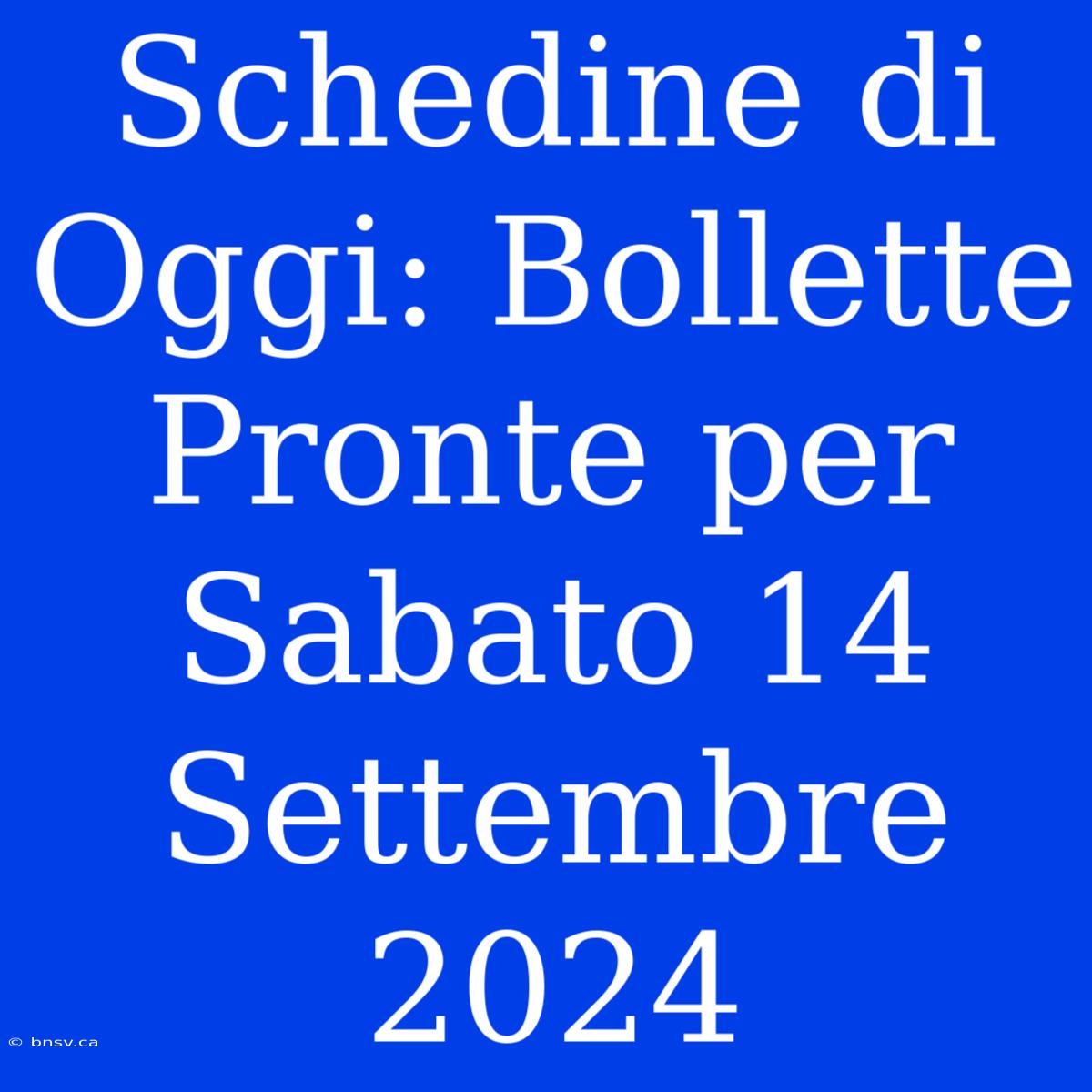 Schedine Di Oggi: Bollette Pronte Per Sabato 14 Settembre 2024